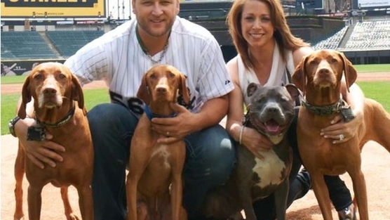 Mark Buehrle's family not moving to Toronto due to pit bull ban
