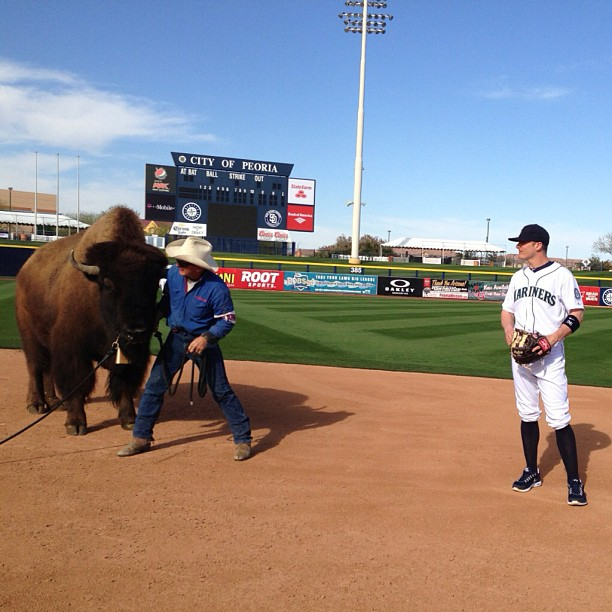 Brendan Ryan and a buffalo