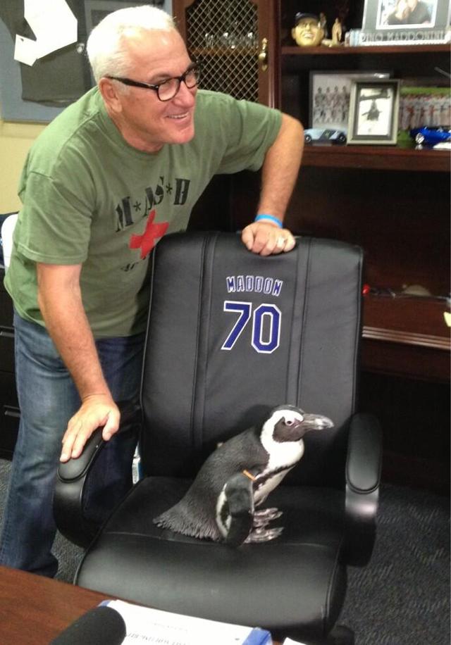 Penguins invaded the Rays clubhouse