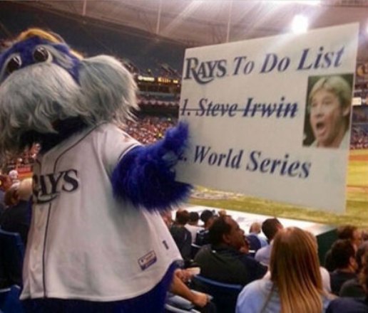 Rays apologize for killing Steve Irwin sign