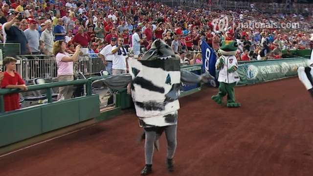 Nats' Presidents Race disrupted by a Sharknado (Video)