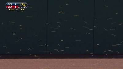 Bee swarm delays Mariners-Angels game for 23 minutes (Video)