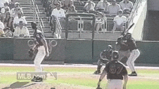 13 years ago, Randy Johnson hit a bird with his fastball (GIF)