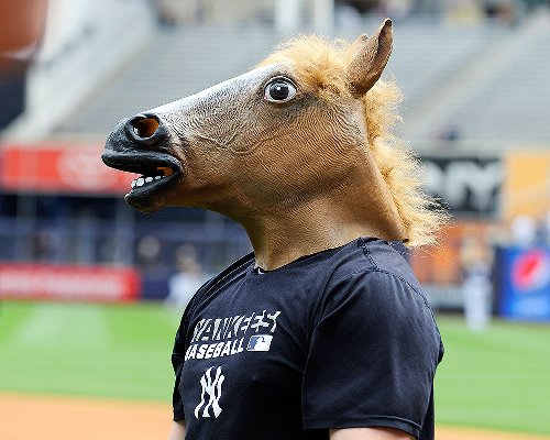 Yankees undefeated with Shawn Kelley's horse's head