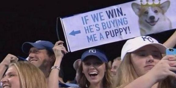 Royals fan gets wish for a puppy granted after Wild Card Game win